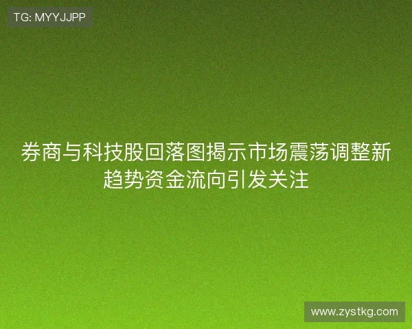 券商与科技股回落图揭示市场震荡调整新趋势资金流向引发关注